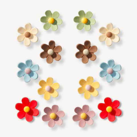 Small Multicolour Flower Shoe Charms Set