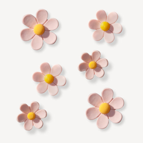 Baby Pink Multi Size Flowers Shoe Charms Set