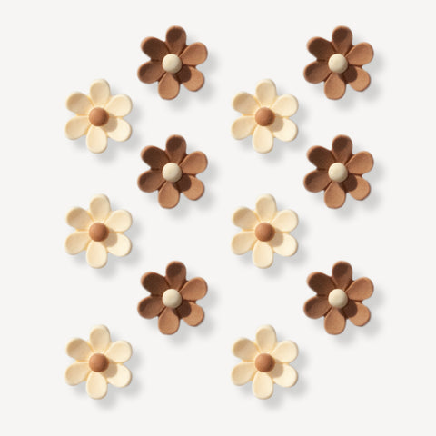 Small Brown & Cream Flower Shoe Charms Set
