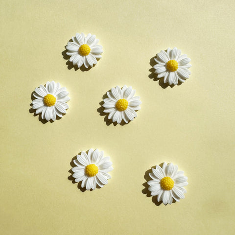 White Daisy Flower Shoe Charms
