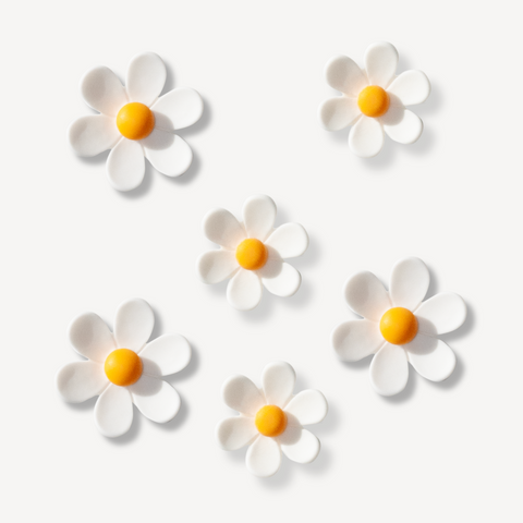 Flower Charms for Bogg Bag in White