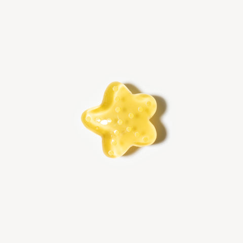 Starfish Shoe Charm