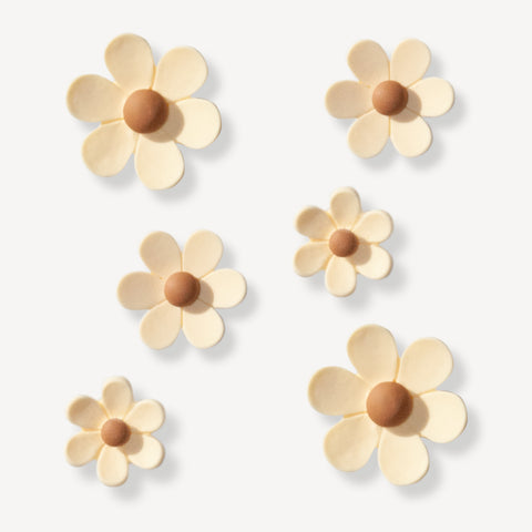 Cream Multi Size Flowers Shoe Charms Set