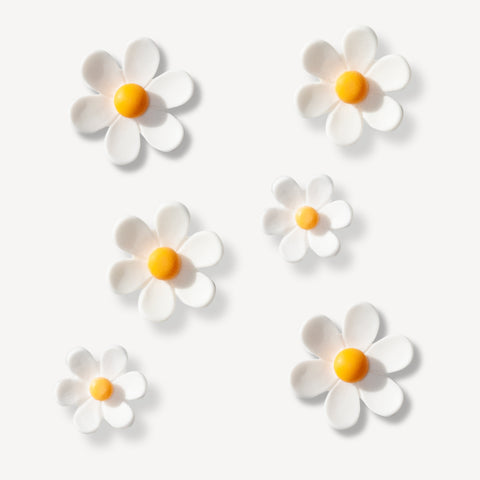 White Multi Size Flowers Shoe Charms Set